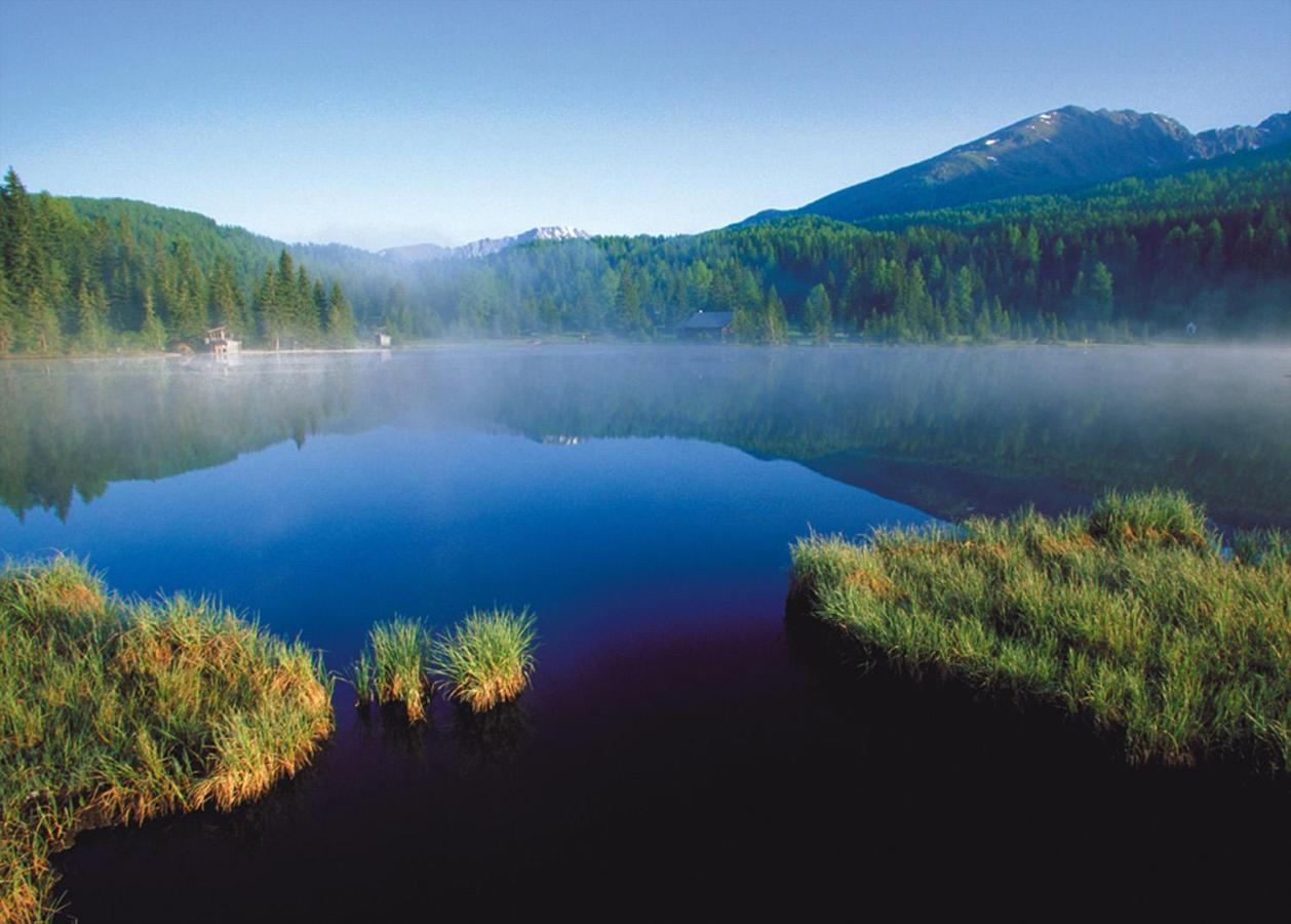 Pension Hochleitner Am Schlosspark Тамсвеґ Екстер'єр фото